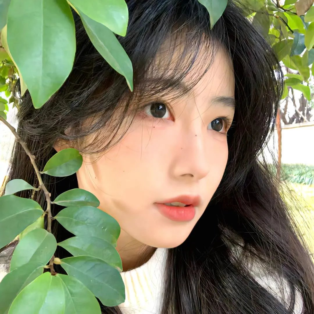 真爱满屋2：真假金龟婿